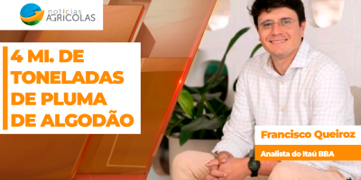 Safra 25/26 de algodão gira em torno de 4 mi. de toneladas de pluma e setor já pensa no futuro