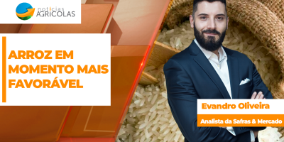 Mercado exportador mais acirrado resulta em alta de preços para o arroz