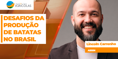 Desafios da produção de batatas no Brasil