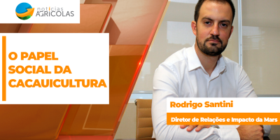 O papel social da cacauicultura
