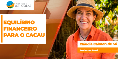 Produtor de cacau encontra dificuldade em encontrar equilíbrio financeiro sem produtividade
