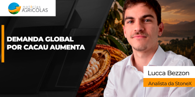 Demanda global por cacau dá sinais de recuperação e cotações sobem