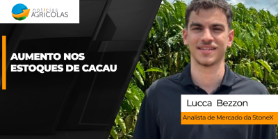 ICE anuncia estoques de 3,5 milhões de sacas de cacau em momento de demanda incerta e cotações caem
