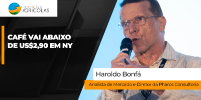Bolsa de NY vai abaixo de US$2,90 nas cotações; mercado interno também sente dólar mais baixo