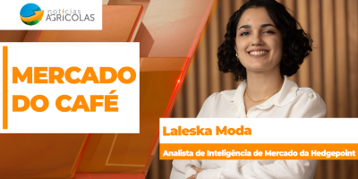 Mercado do café entre a safra e o risco climático