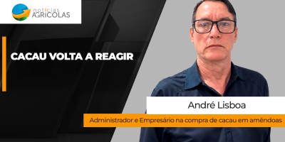 Cacau volta a reagir nas bolsas internacionais, mas mercado interno não acompanha