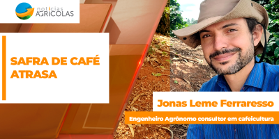 Safra de café atrasa e umidade aumenta risco de doenças nas lavouras