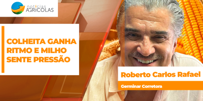 Com melhora do clima no Brasil, colheita do milho começa a ganhar ritmo e mercado deve sentir pressão nas cotações