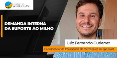 Aumento da demanda doméstica dá suporte ao milho no Brasil, mas exportações lentas liga o alerta