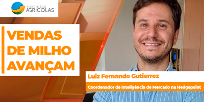 Demanda por milho se aquece no Brasil, preços sobem e produtores aproveitam para avançar com vendas