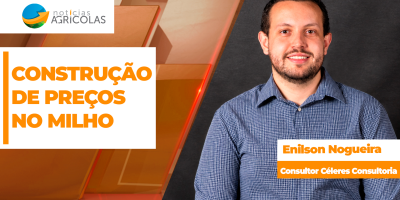 Milho tem 2º semestre de construção de preços no Brasil e produtor pode ter boa janela de comercialização