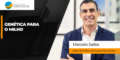 Como a genética pode ser o próximo salto de produtividade para o milho