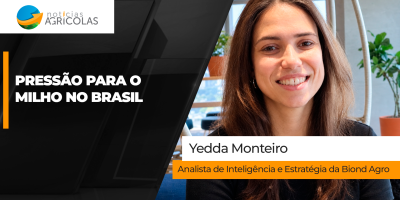 Brasil perde competitividade nas exportações de milho e preços internos sentem pressão