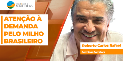 Milho brasileiro segue bastante demanda, com força do consumo interno; exportações podem melhorar