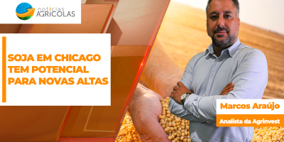 Soja tem espaço para novas altas em Chicago e conferir oportunidades ainda melhores ao Brasil