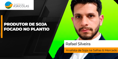 Soja fecha em baixa em Chicago pressionada por farelo, mas clima no Brasil e exportações dos EUA mantêm mercado em alerta