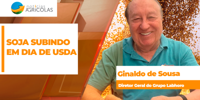 Soja tem boas altas em Chicago nesta 5ª feira, mesmo com USDA trazendo poucas novidades
