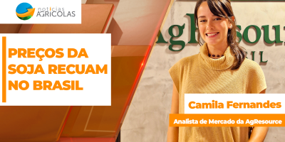 Preços da soja caem no Brasil com baixa forte do dólar e negócios voltam a esfriar