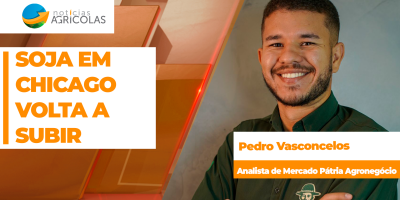 Soja volta a subir em Chicago e, com prêmios fortes no Brasil, preços seguem próximos dos R$ 150 para o disponível nos portos