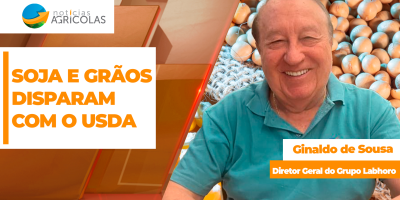 Soja dispara em  Chicago após números do USDA e boa janela de comercialização se abre ao produtor do Brasil
