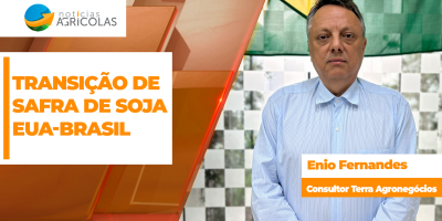 Mercado da soja em Chicago começa a dividir sua atenção entre conclusão da safra dos EUA e início da safra da América do Sul