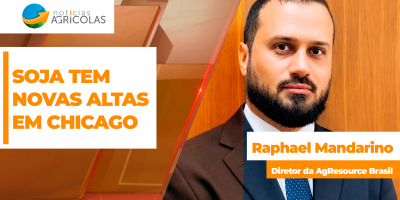 Soja volta a subir em Chicago nesta 4ª feira e, combinada com alta do dólar, puxa preços no Brasil