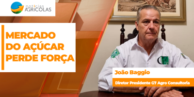 Mercado do açúcar perde força após Índia reduzir importações; safra brasileira deve crescer em 26/27