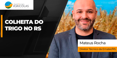 Condições climáticas foram favoráveis para o trigo no RS, mas desenvolvimento da cultura é desuniforme