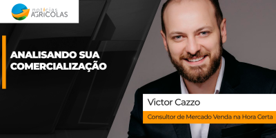 Como vender soja e milho na Hora Certa nessa Eleição ?