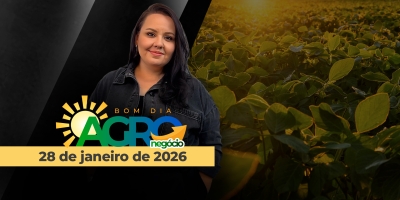 BOM DIA AGRONEGÓCIO - Dólar nas mínimas de quase dois anos, soja em alta na CBOT