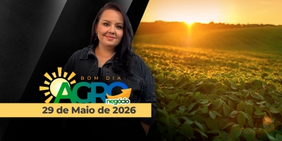 BOM DIA AGRONEGÓCIO - EDIÇÃO 29-05-2026