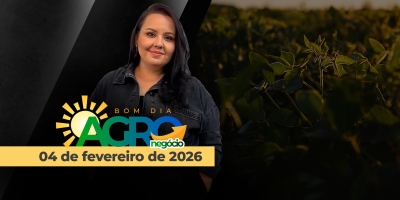 BOM DIA AGRONEGÓCIO - Soja avariada tirando ainda mais das margens