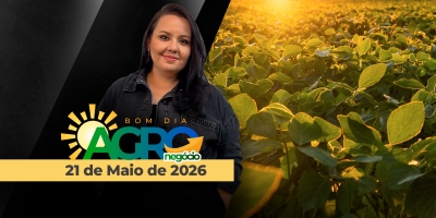 BOM DIA AGRONEGÓCIO 21-05-2026
