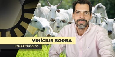 ENTREVISTA BOM DIA AGRO COM - Dr. Vinícius Borba - Advogado