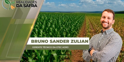 Região de Maringá/PR tem áreas de milho bem desenvolvidas e outras que devem ter grandes perdas