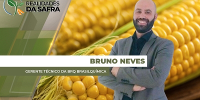 Plantio do milho atrasado aumenta risco climático para desenvolvimento das lavouras