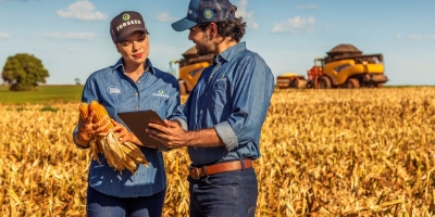 Pesquisa e tecnologia impulsionam produtividade do milho na Safrinha 2026