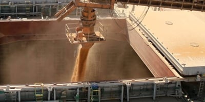 USDA traz embarques semanais de soja e milho dentro das expectativas