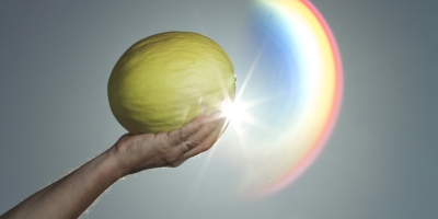 Exportação de melão 2025/26 está 6% acima da safra passada; RN deve dobrar embarques na temporada