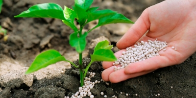 Índice de Poder de Compra de Fertilizantes encerra julho em queda de 5%