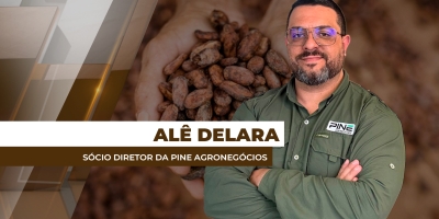 Cacau em queda histórica deixa áreas produtoras em alerta para os preços