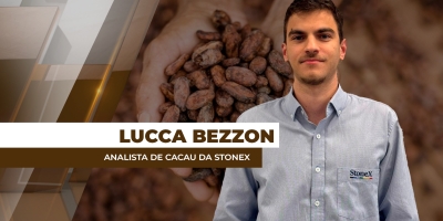 Reajuste entre oferta e demanda deve elevar estoques de cacau e trazer pressão para as cotações