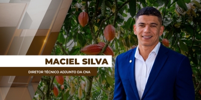 Mudança no drawback do cacau modifica período de importação da commodity