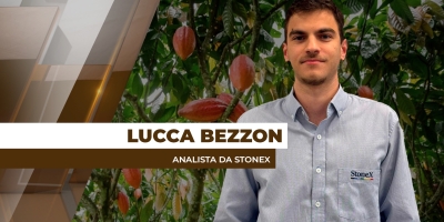 Após alta volatilidade, preços internacionais do cacau buscam estabilidade