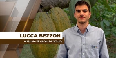 Mercado de cacau passa a considerar possível superávit