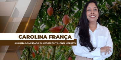 Volatilidade no mercado do cacau gera discrepância entre o preço ao produtor e o valor no varejo