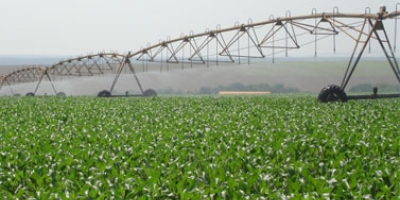 Irrigação muda a conta do hectare e abre espaço para novas safras no Triângulo Mineiro
