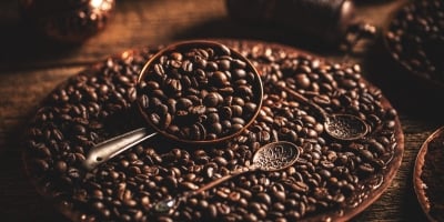 Café abre em alta com mercado atento à colheita e à qualidade da safra brasileira
