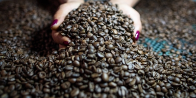 Café inicia semana com alta nas bolsas e mercado segue atento às incertezas sobre safra e oferta global