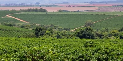 Café fecha em alta nas bolsas internacionais com temores de oferta e tensão geopolítica no Oriente Médio